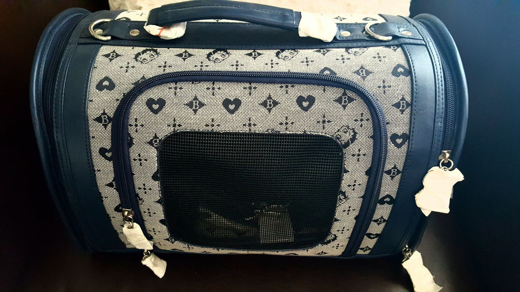 Betty Boop Blue Dog Carrier