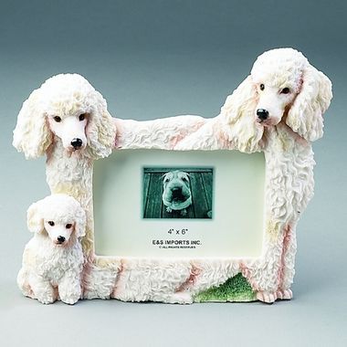 White Poodle Picture Frame