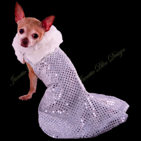 Chic Silver Dress - Formal Dress - Janette Dlin Design