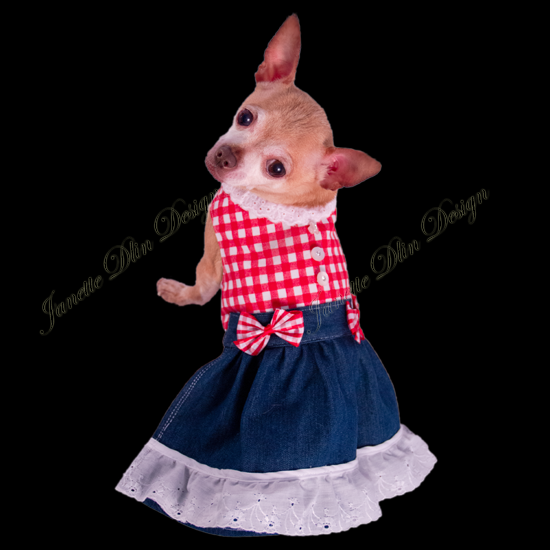 Red Gingham Dress-JanetteDlin Design