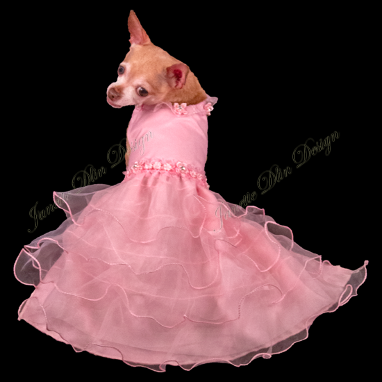 Pink Princess Dress - Janette Dlin Design