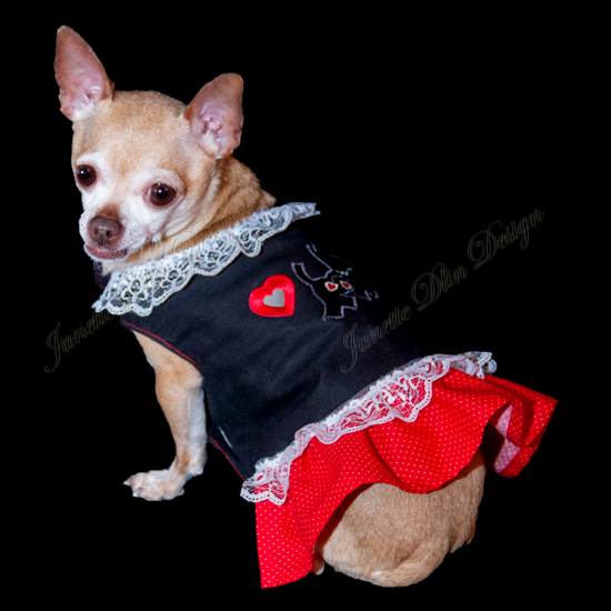 Red Heart Dog Top