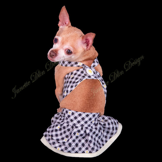 Daisy Sundress - JanetteDlin Design