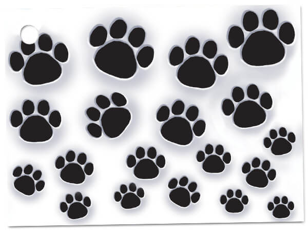 Paw printed Enclosure Cards