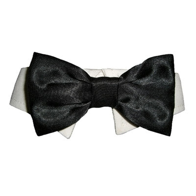 Dog Bow Tie Collar - Black - Pooch Outfitters