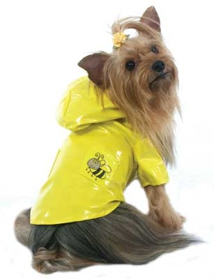 Bumble Bee Raincoat - Cha-Cha Couture