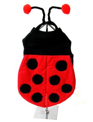 Lady Bug Dog Costume for dogs - Doggie Design