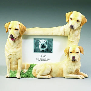 Yellow Labrador Picture Frame - E&S Imports