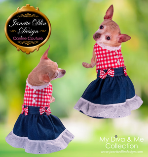 Red Gingham Dress - JanetteDlin Design