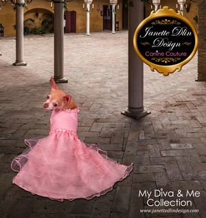 Pink Princess Dress - Janette Dlin Design