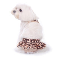 Rio Bikini - Pooch Outfitters