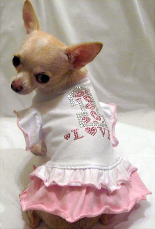 #1 Fancy Ruffle Dog Dress - Platinum Puppy Couture