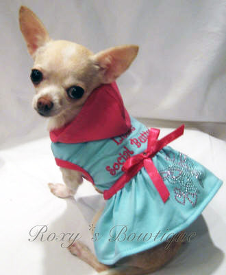 Little Social Butterfly Hoodie Dress - Platinum Puppy Couture