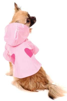 Sweet Heart Dog Raincoat
