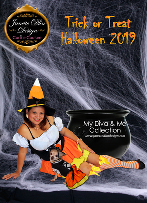 Halloween Candy Corn Witch Dog Dress