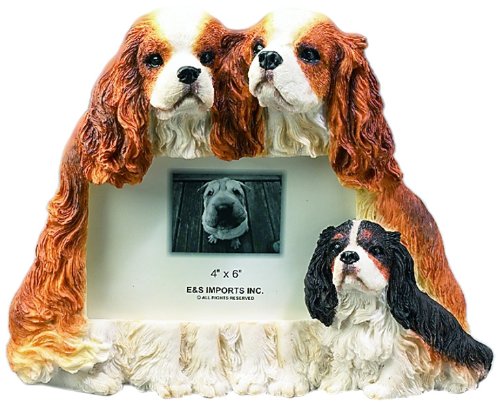 King Charles Cavalier Picture Frame - E&S Imports