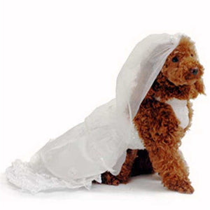 Venus Wedding Dress - Dog Wedding Dress - Pooch Outfitters