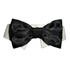 Dog Bow Tie Collar -  Black - Pooch Outfitters