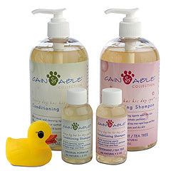 Cain & Able Conditioning Shampoo