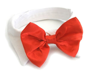 Red Satin Bow Tie and Collar - Doggie Design