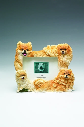 Pomeranian Picture Frame - E&S Imports