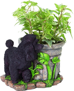 Black Poodle Flower Pot