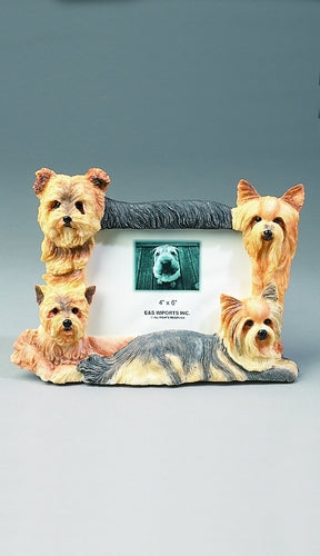 Yorkshire Terrier Picture Frame - E&S Imports