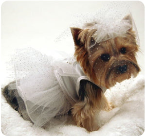 Doggie Wedding Dress