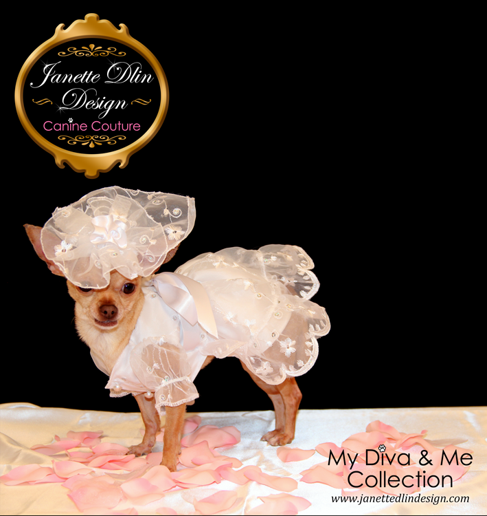 Elegant Dog Wedding Dress - Janette Dlin Design - Dog Dress