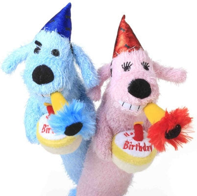 Happy Birthday Loofa with Squeaker - Plush Dog Toy