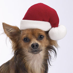 Doggie Santa Hat