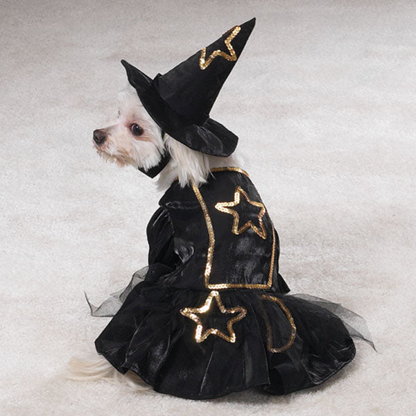 Witch Dog Costume