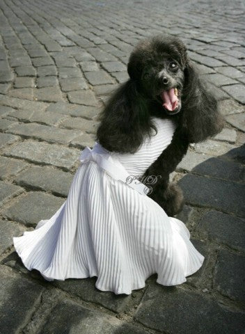 7 Year Dog Dress - Marilyn Monroe Collection