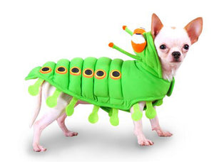 Caterpillar Dog Costume - Puppe Love