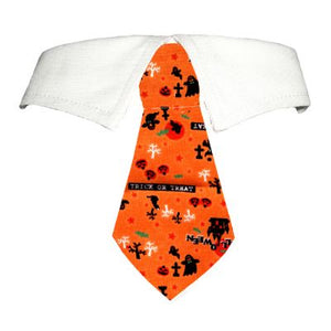 Pumpkin Shirt Collar - Dog Collar - Pooch Outfitters