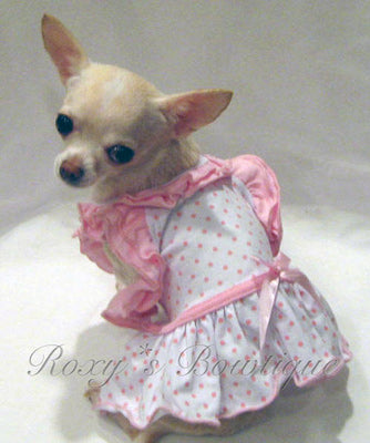 Bitty Baby Ruffle Dog Dress - Platinum Puppy Couture