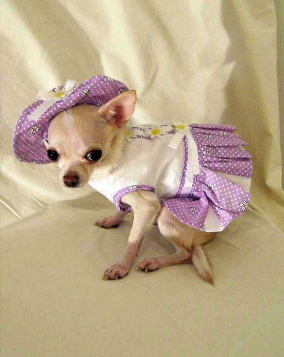 Lilac Delicate Daisy Dog Harness
