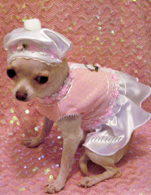 Pink Parfait Dog Harness Dress - Platinum Puppy Couture