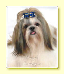 Roxy's Special Selection - Royal Blue - Adult Dog Bow